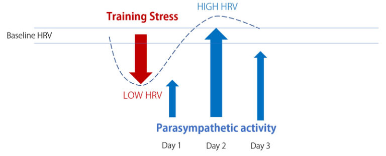 Intro to Heart Rate Variability - Morpheus