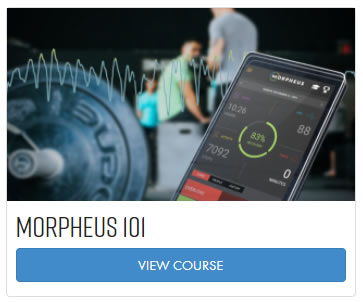 morpheus training review